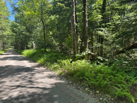 0 OLD STAGE RD, ASHFIELD, MA 01330 - Image dd5e30f3cb73cf84bcad6aa5e2d76cd5/3393939745