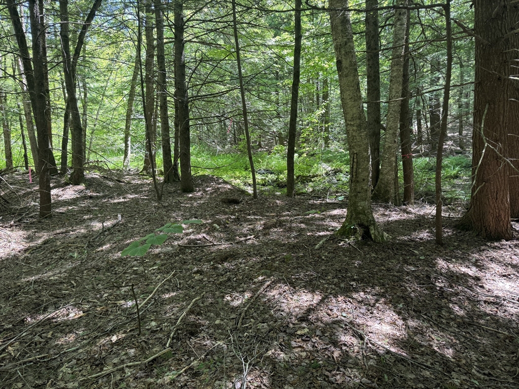 0 Old Stage Rd