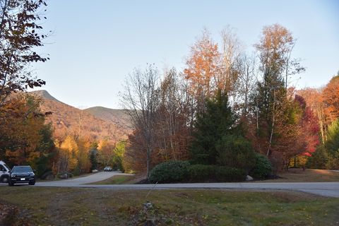 16 Yellow Birch Cir Lincoln NH 03251