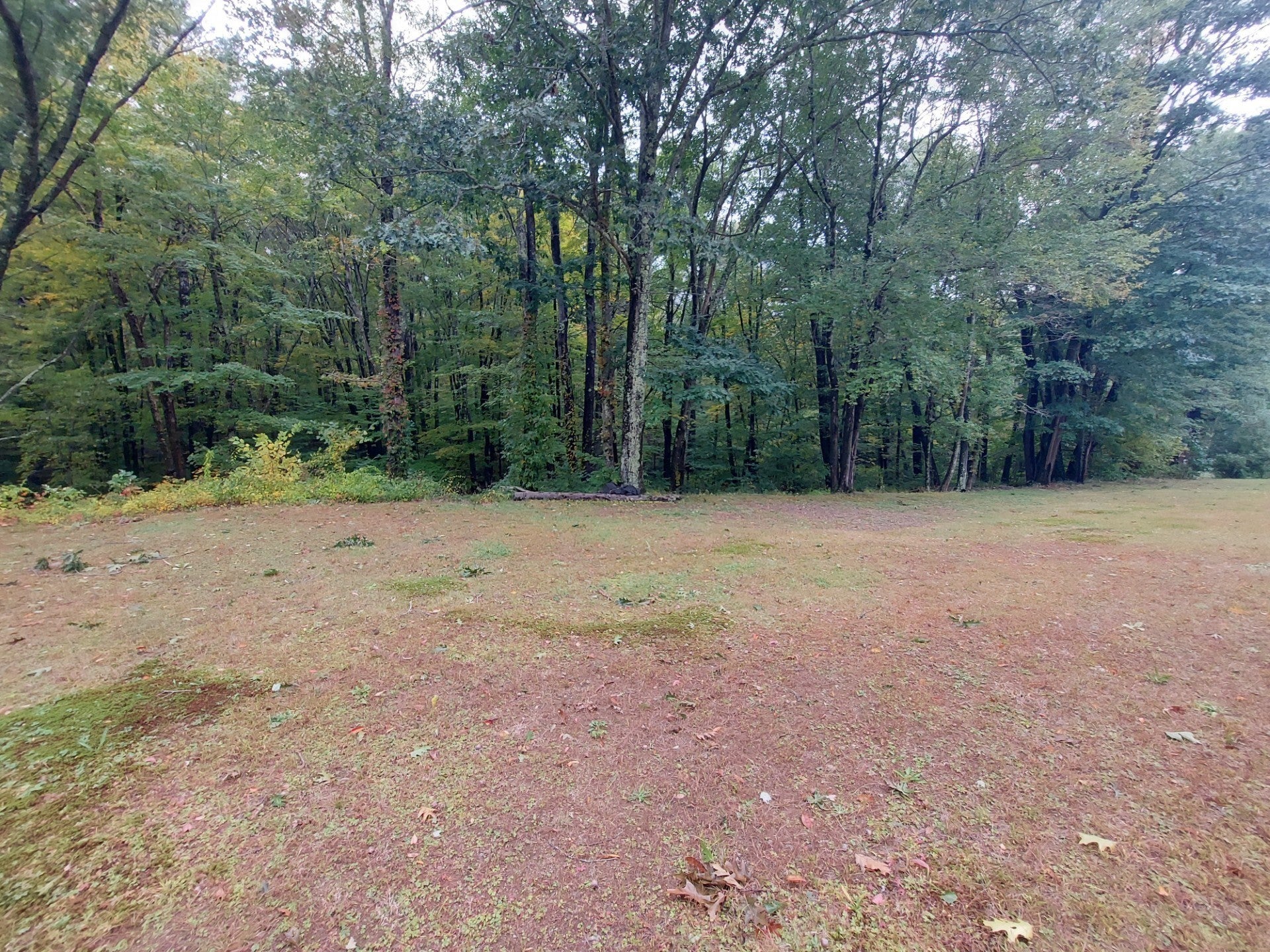 226 Pine St, Leicester, MA, 226 Pine St, Leicester, MA Photo #7