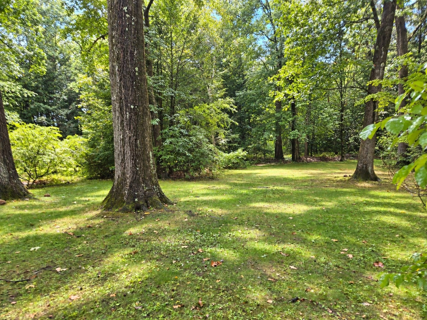 629 Granby Road, South Hadley, MA, 629 Granby Road, South Hadley, MA Photo #29