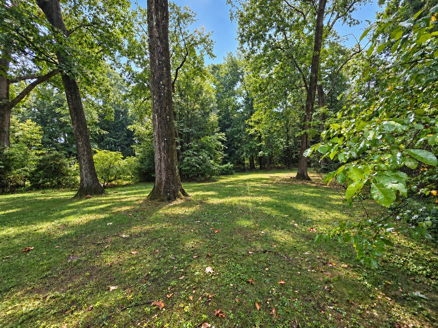 629 Granby Road, South Hadley, MA, 629 Granby Road, South Hadley, MA Photo #30