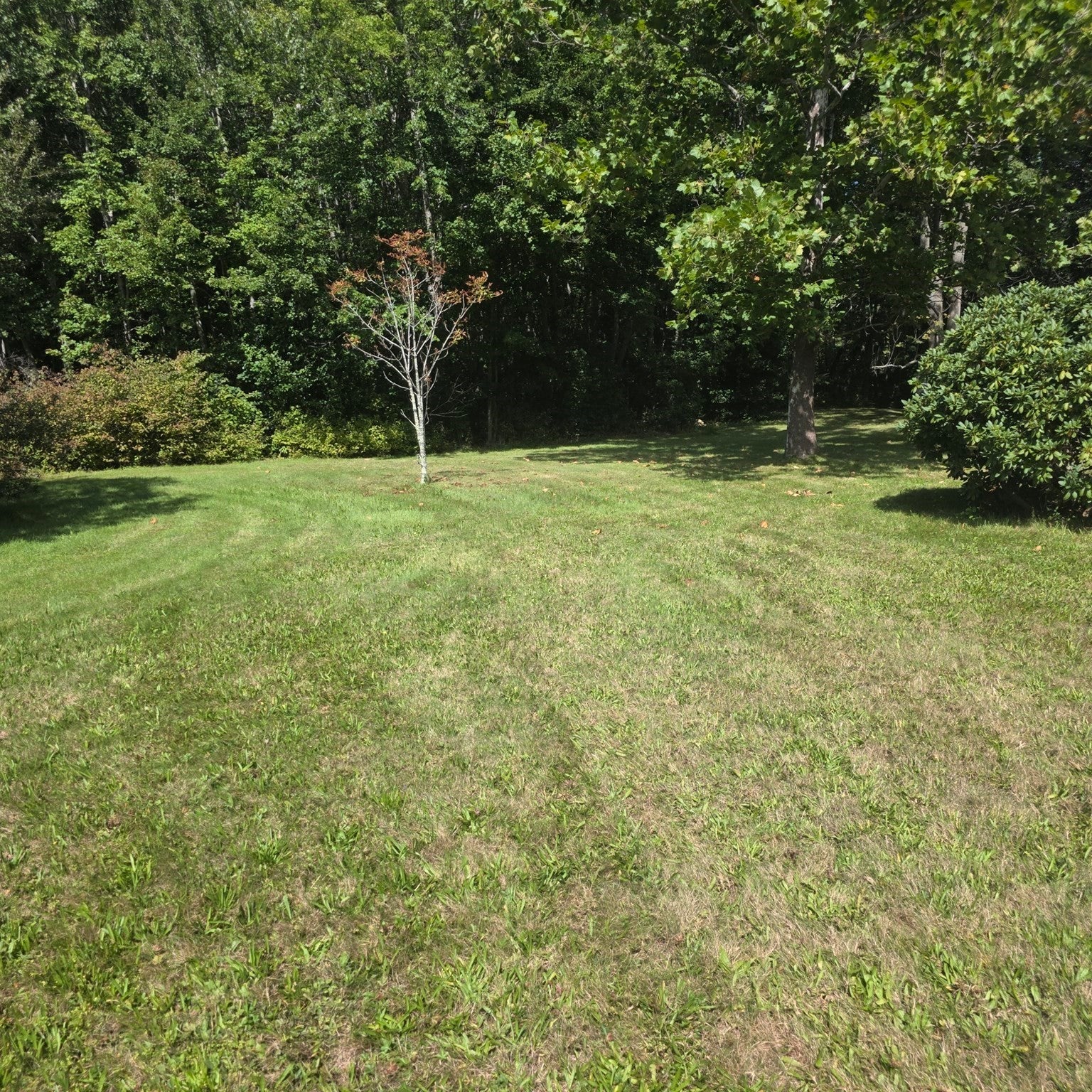 549 East Washington Street, Hanson, MA Photo #16
