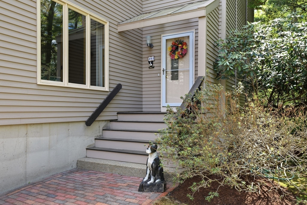 202 Hampton Road, Sharon, MA Photo #3