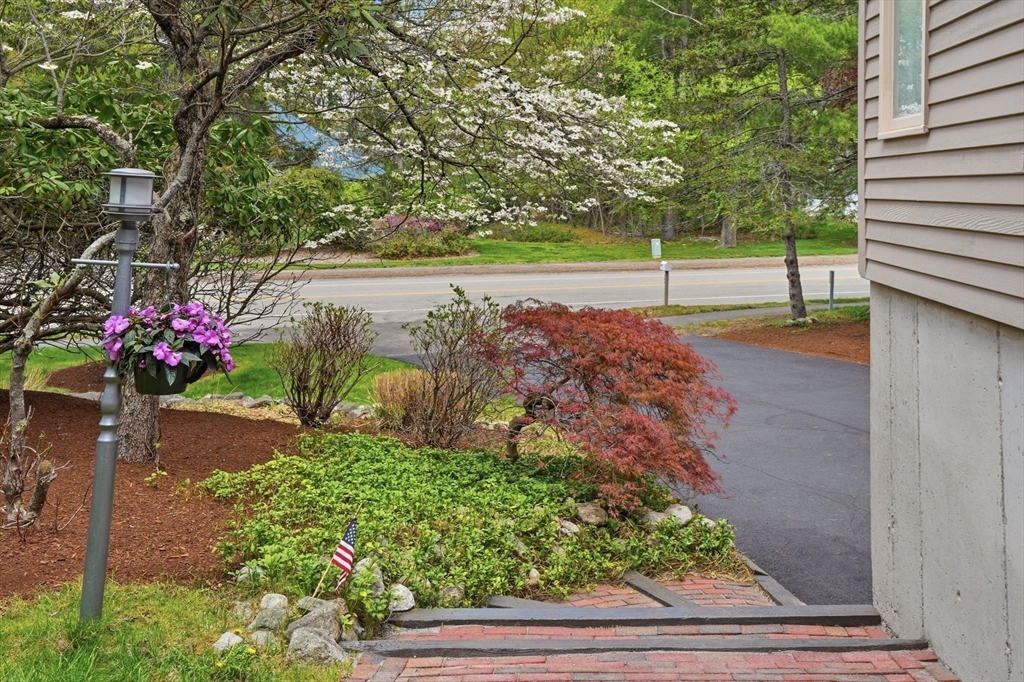 202 Hampton Road, Sharon, MA Photo #2