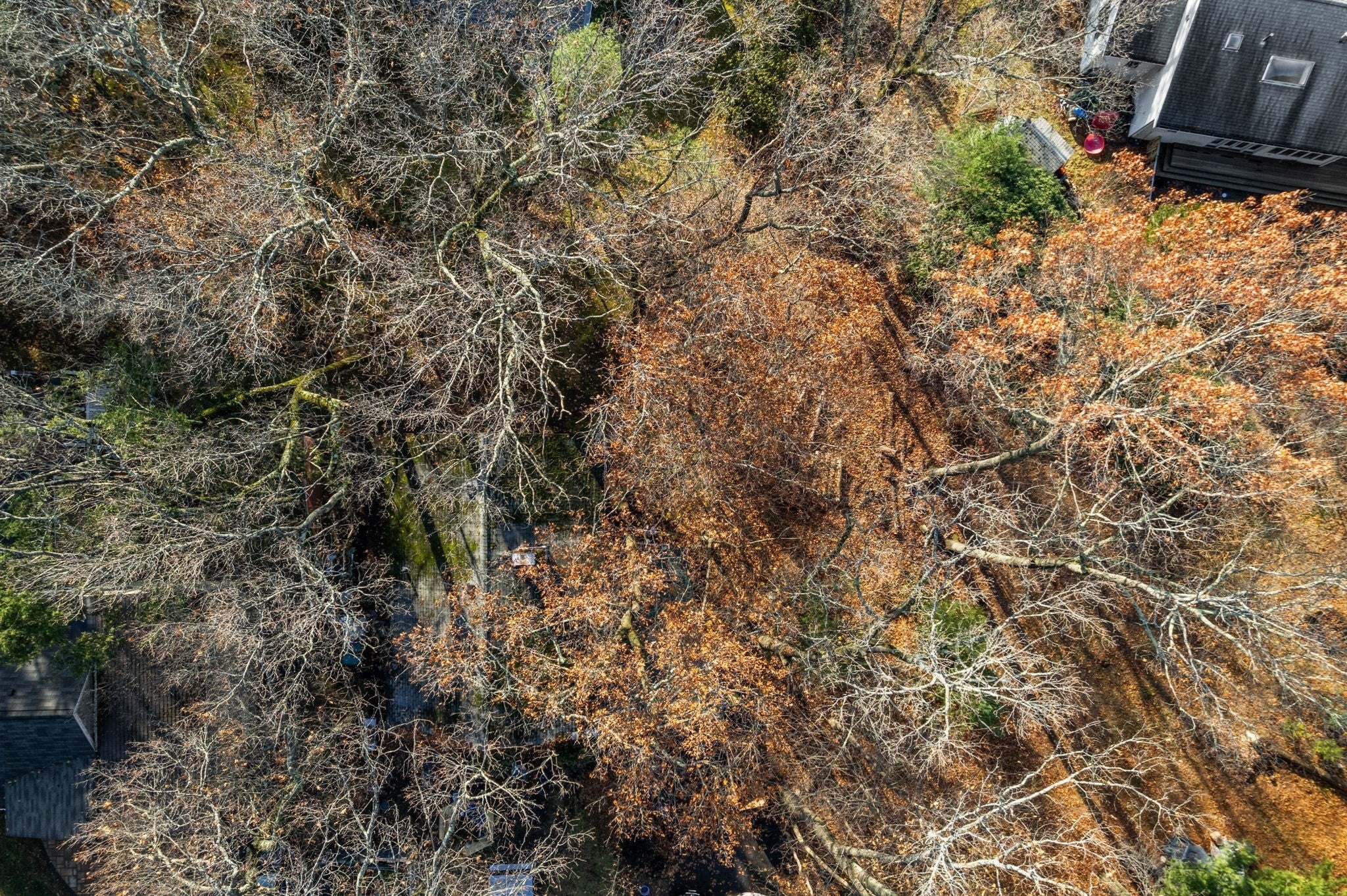 30 Harbell Street, Lexington, MA, 30 Harbell Street, Lexington, MA Photo #1