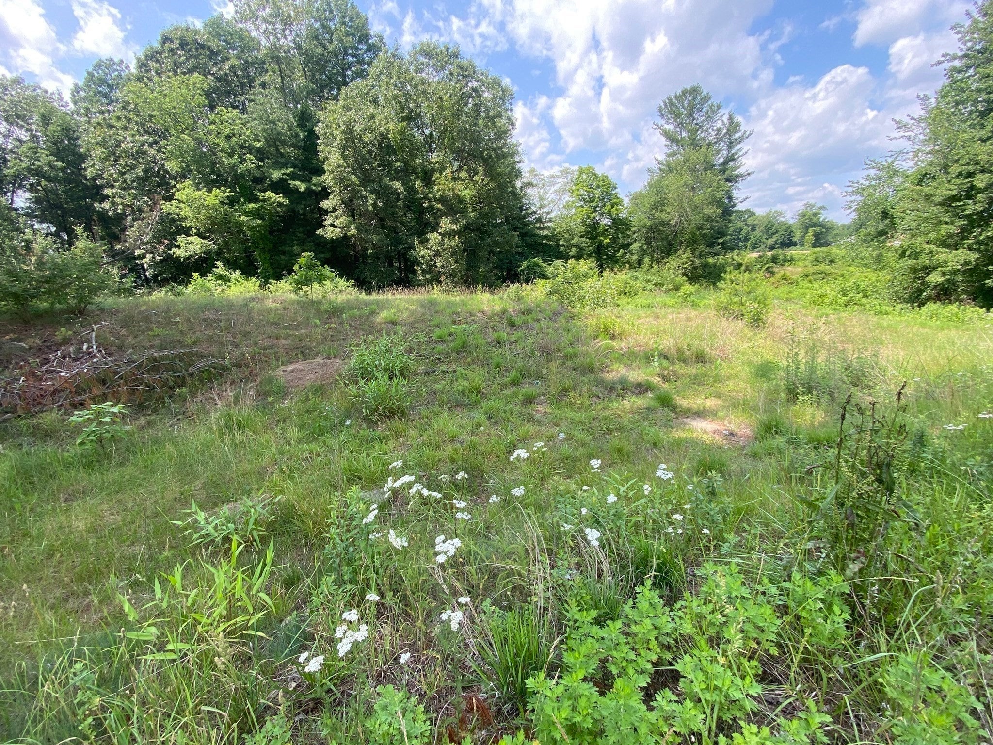 Lot 761 College Highway