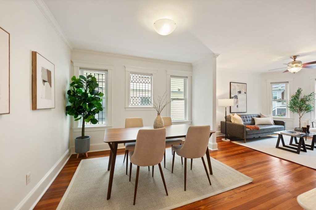 23 Cambridge Terrace 1