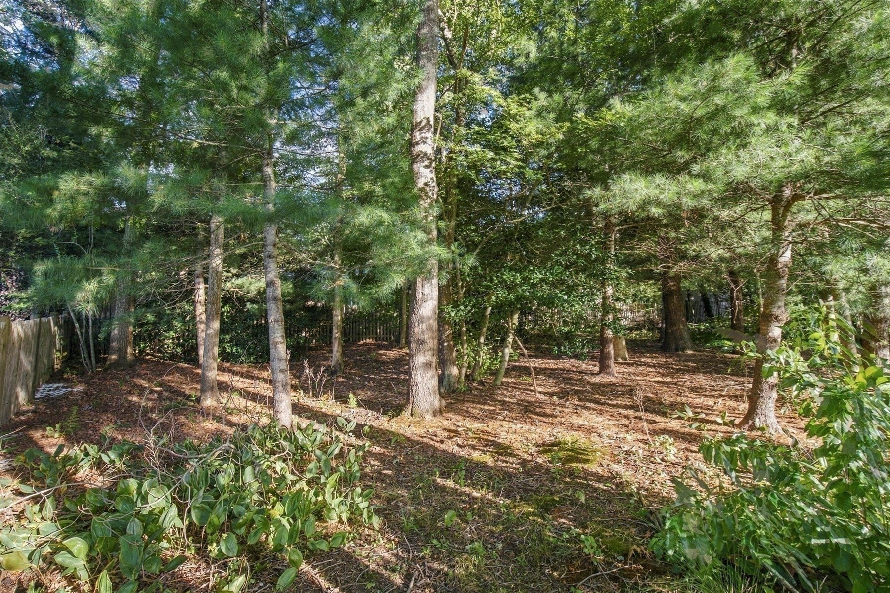 402 Prince Hinckley Rd, Barnstable, MA, 402 Prince Hinckley Rd, Barnstable, MA Photo #5