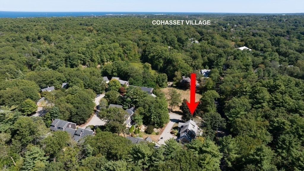 18 Cedarledge Vlg #18, Cohasset, MA Photo #37