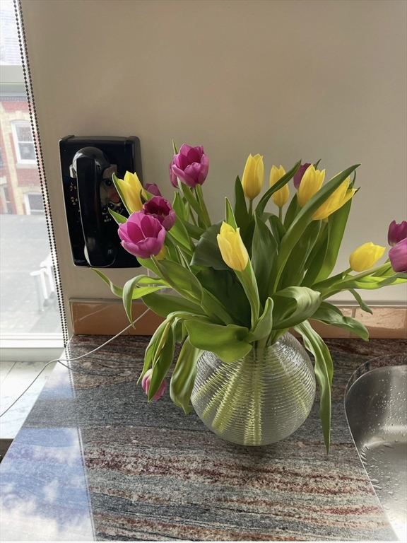 34 Sheafe Street #4, Boston, MA, 34 Sheafe Street #4, Boston, MA Photo #14