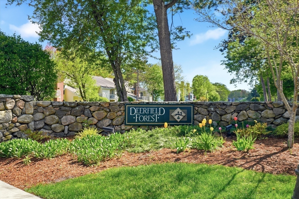 11 Walden Dr #10, Natick, MA Photo #29