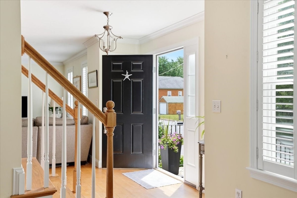 37 Sylvia St