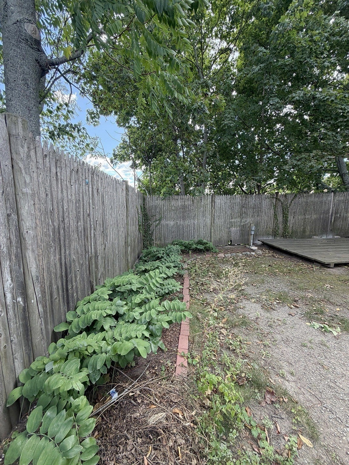 11 Mount Pleasant St #1, Waltham, MA, 11 Mount Pleasant St #1, Waltham, MA Photo #18