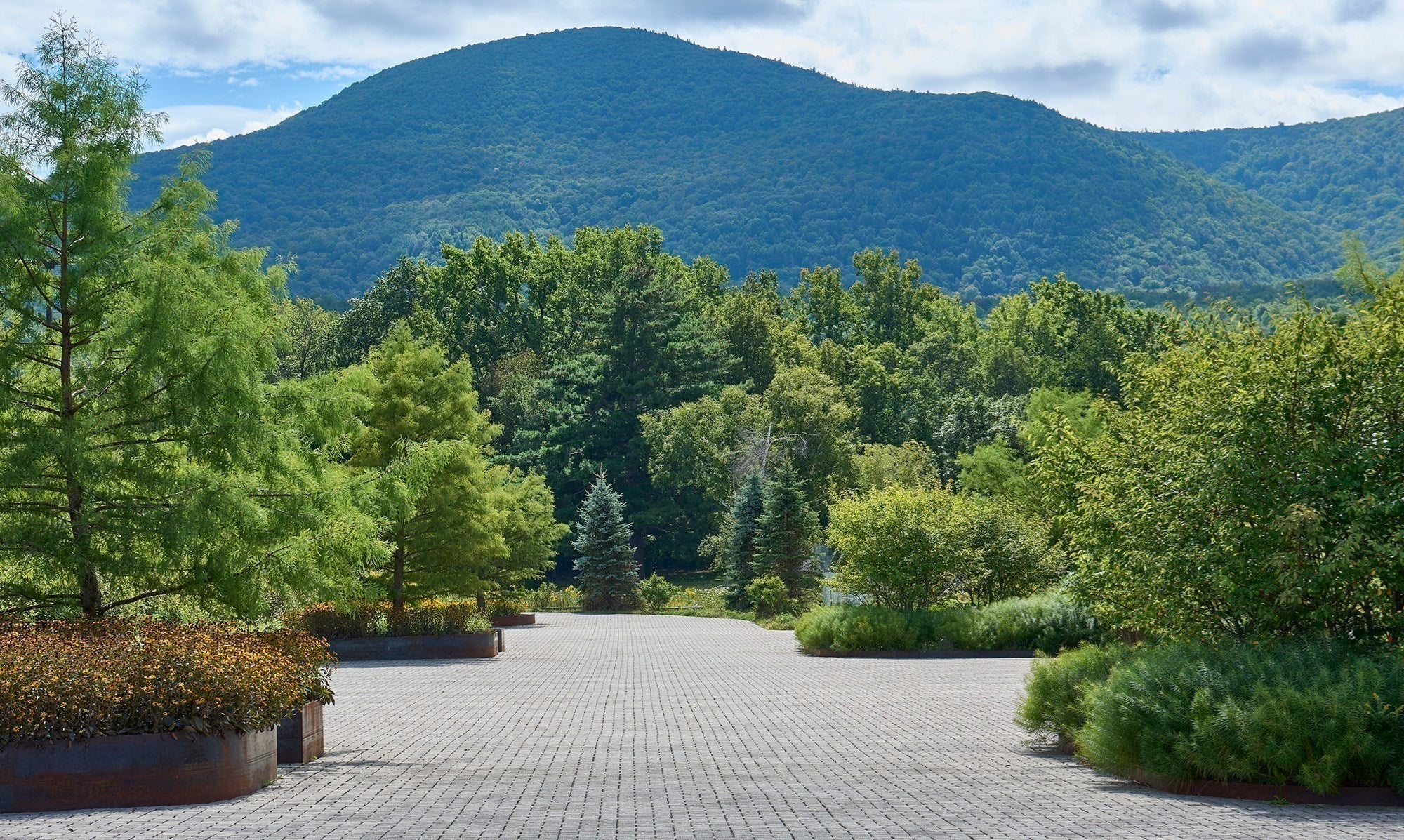 520 State Road #306, North Adams, MA Photo #38
