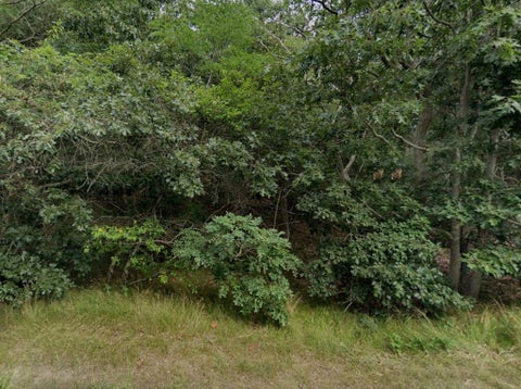 Photo of 415 Cove Rd, Wellfleet, MA 02667 (MLS # 73524782)