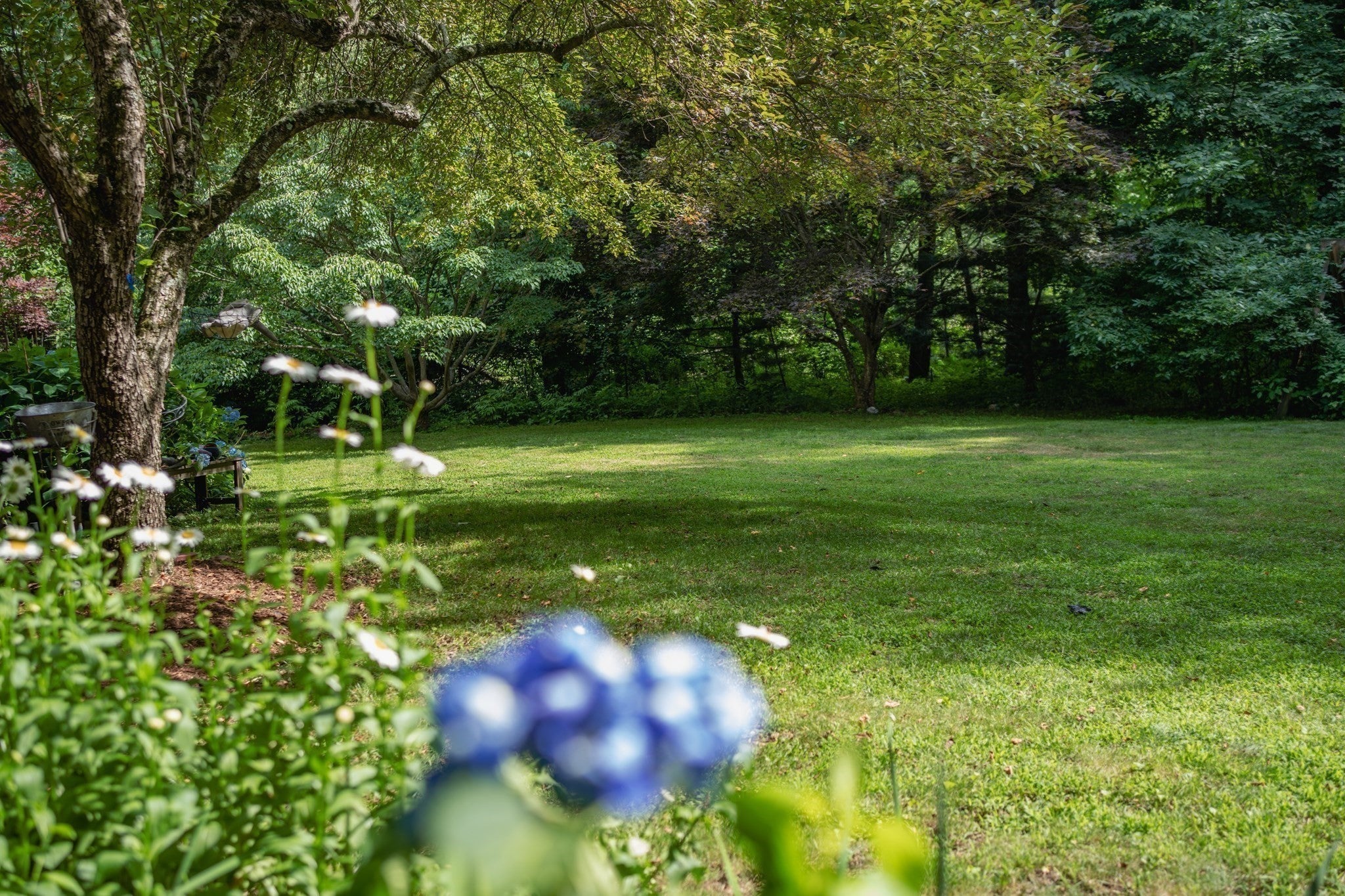 7 Pond St, Hopkinton, MA, 7 Pond St, Hopkinton, MA Photo #6
