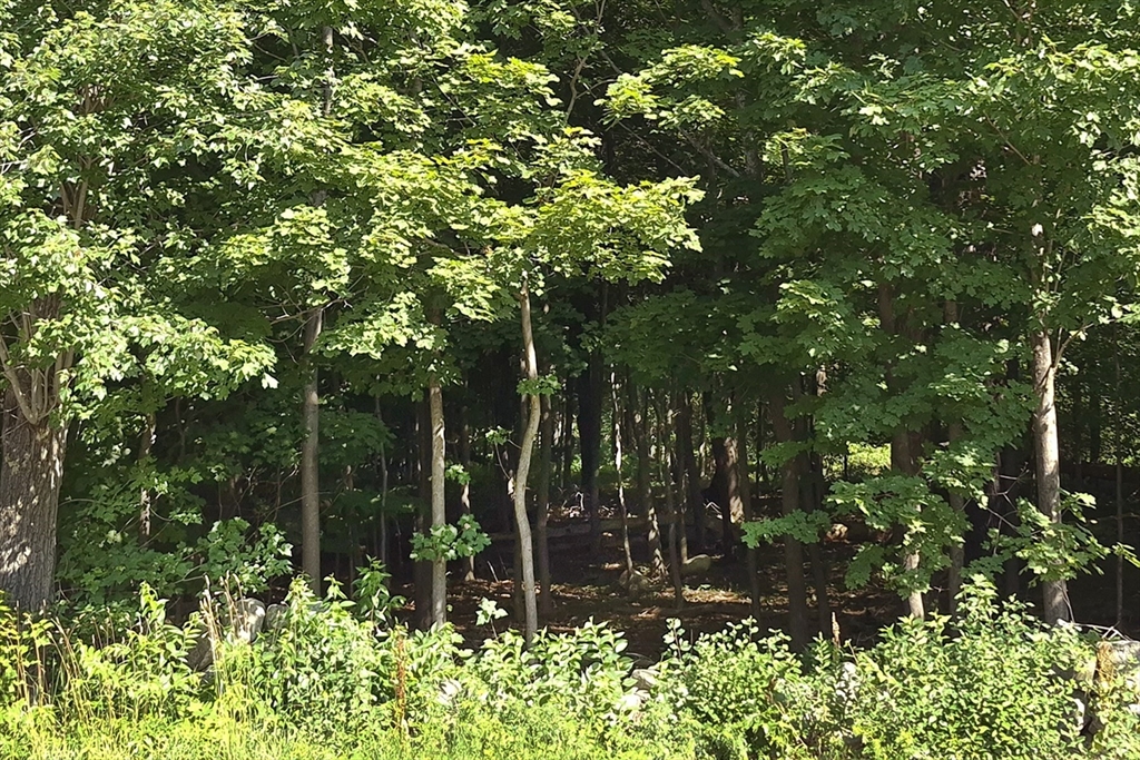 125 Topsfield Rd