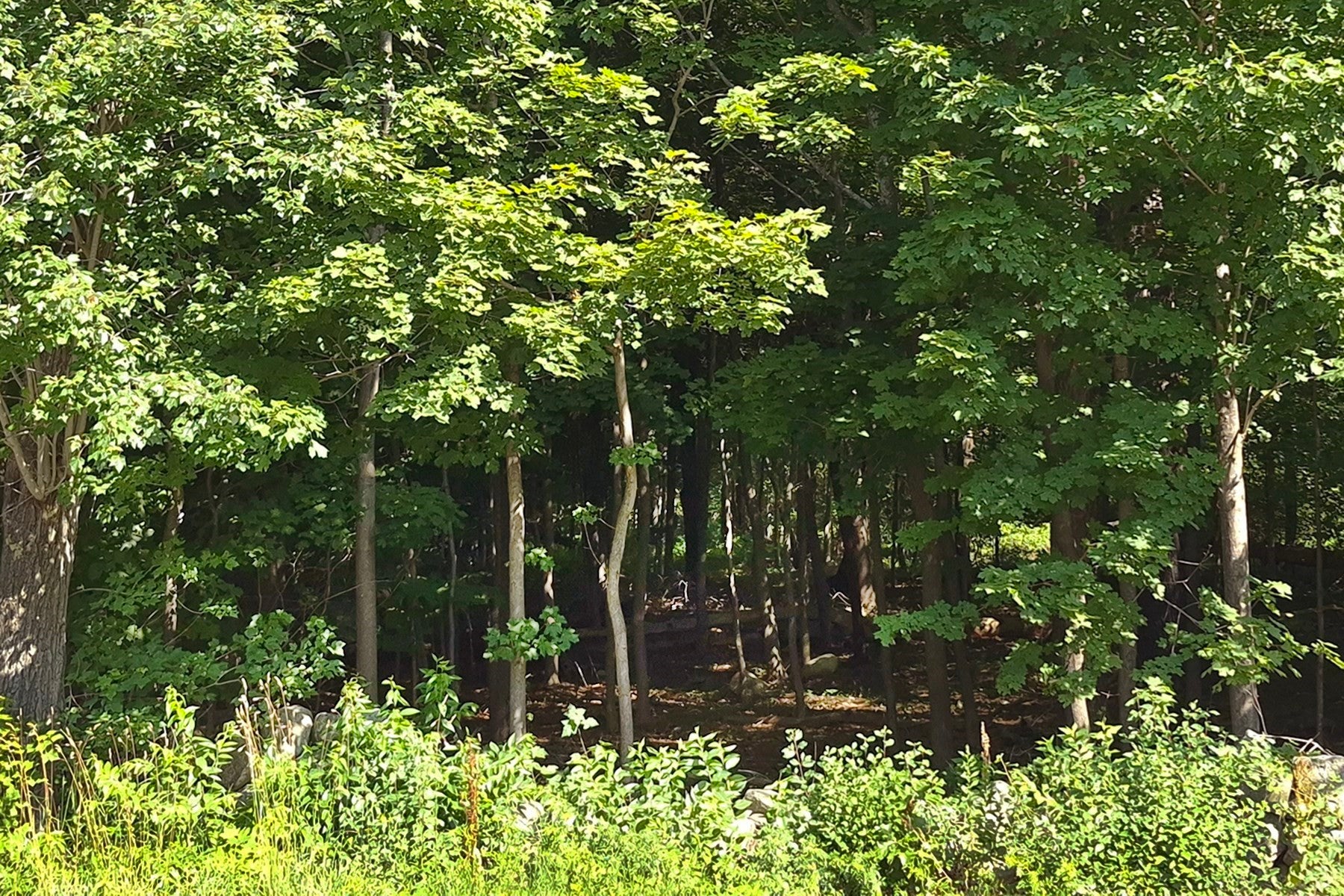 125 Topsfield Rd