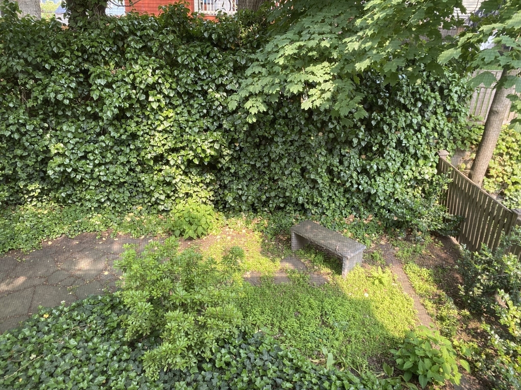 10 Packard Ave
