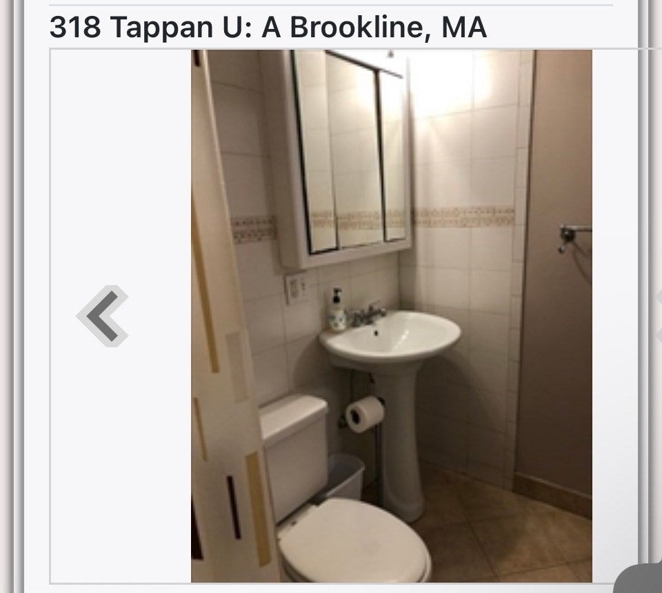 318 Tappan St #A, Brookline, MA Photo #9