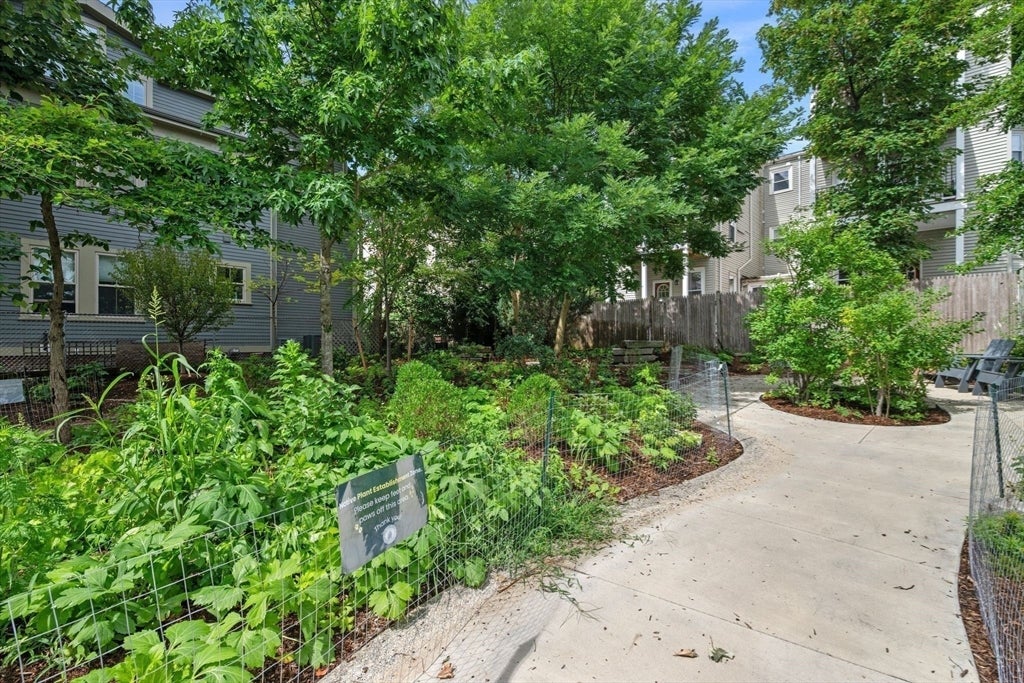 21 School St #1L, Somerville, MA, 21 School St #1L, Somerville, MA Photo #28
