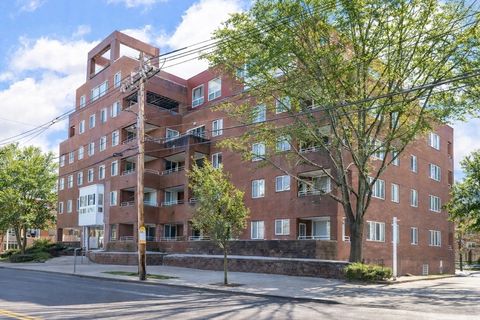 50 Watertown St. 403 Watertown MA 02472
