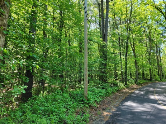 5 DANIELS RD, CHARLTON, MA 01507 - Image e02ca9b2c264233ad2e493c6e5d3eec4/226002801