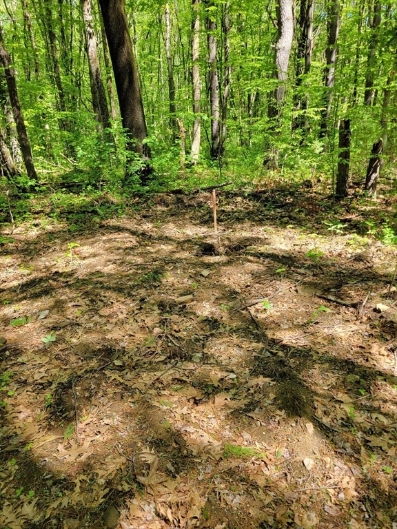 Lot 5 Daniels Rd