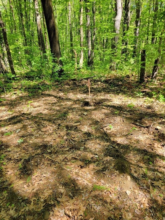Lot 5 Daniels Rd