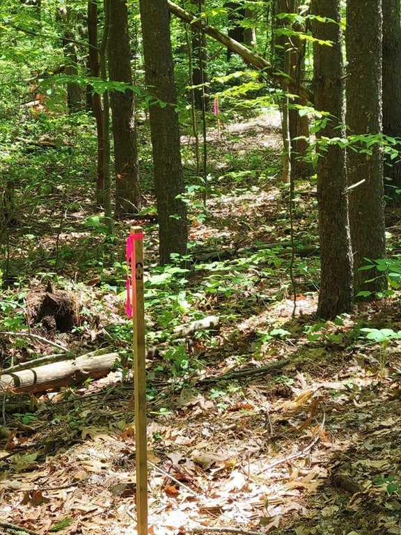 Lot 5 Daniels Rd