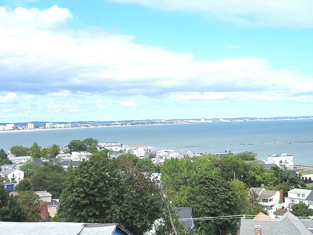 133 Bellingham Ave 3