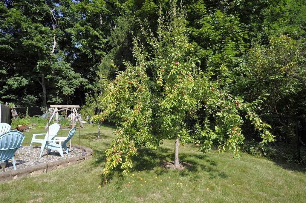 32 Brenda Ave, East Bridgewater, MA, 32 Brenda Ave, East Bridgewater, MA Photo #28