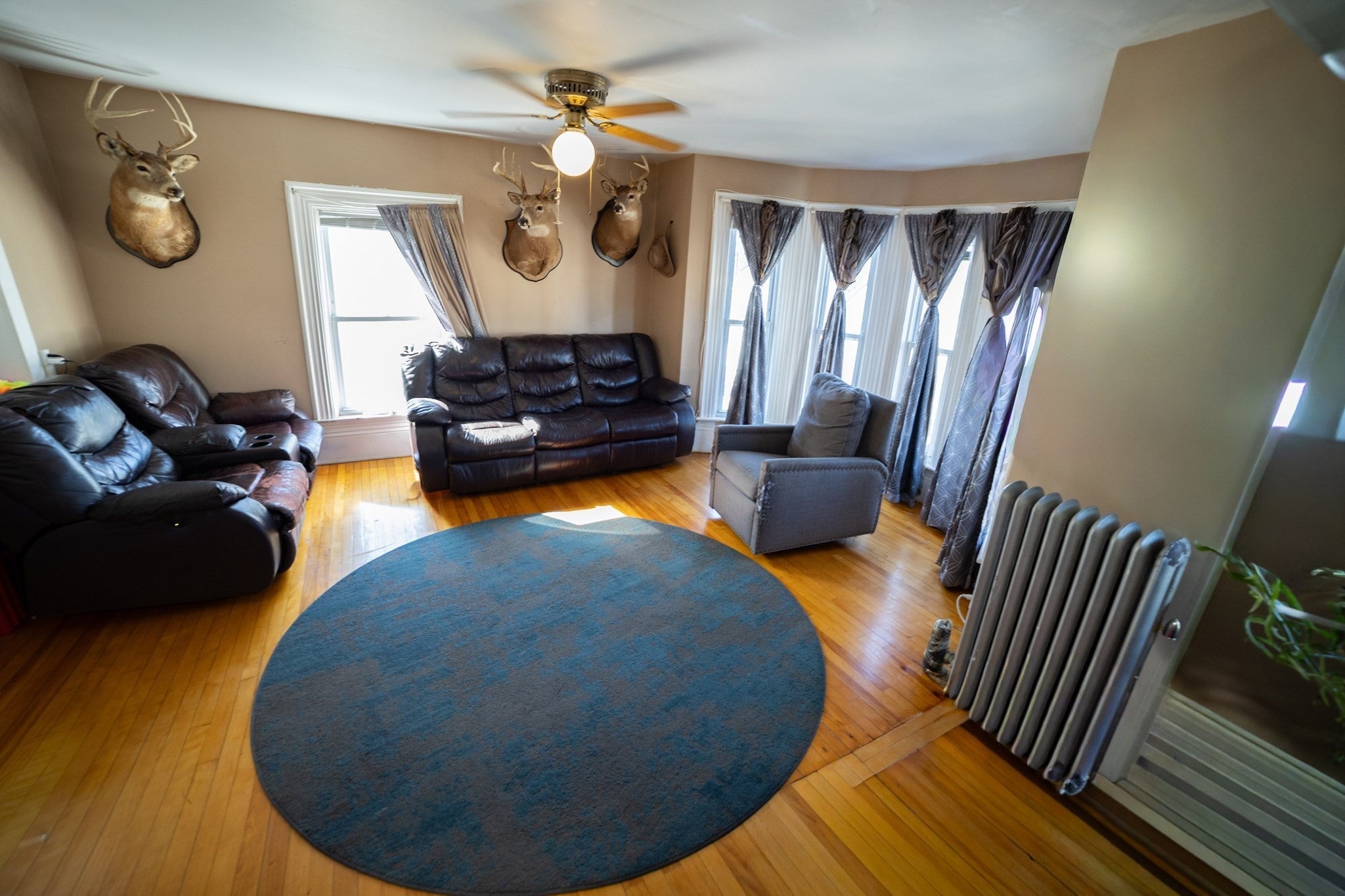 17 Myrtle St, Lowell, MA Photo #19