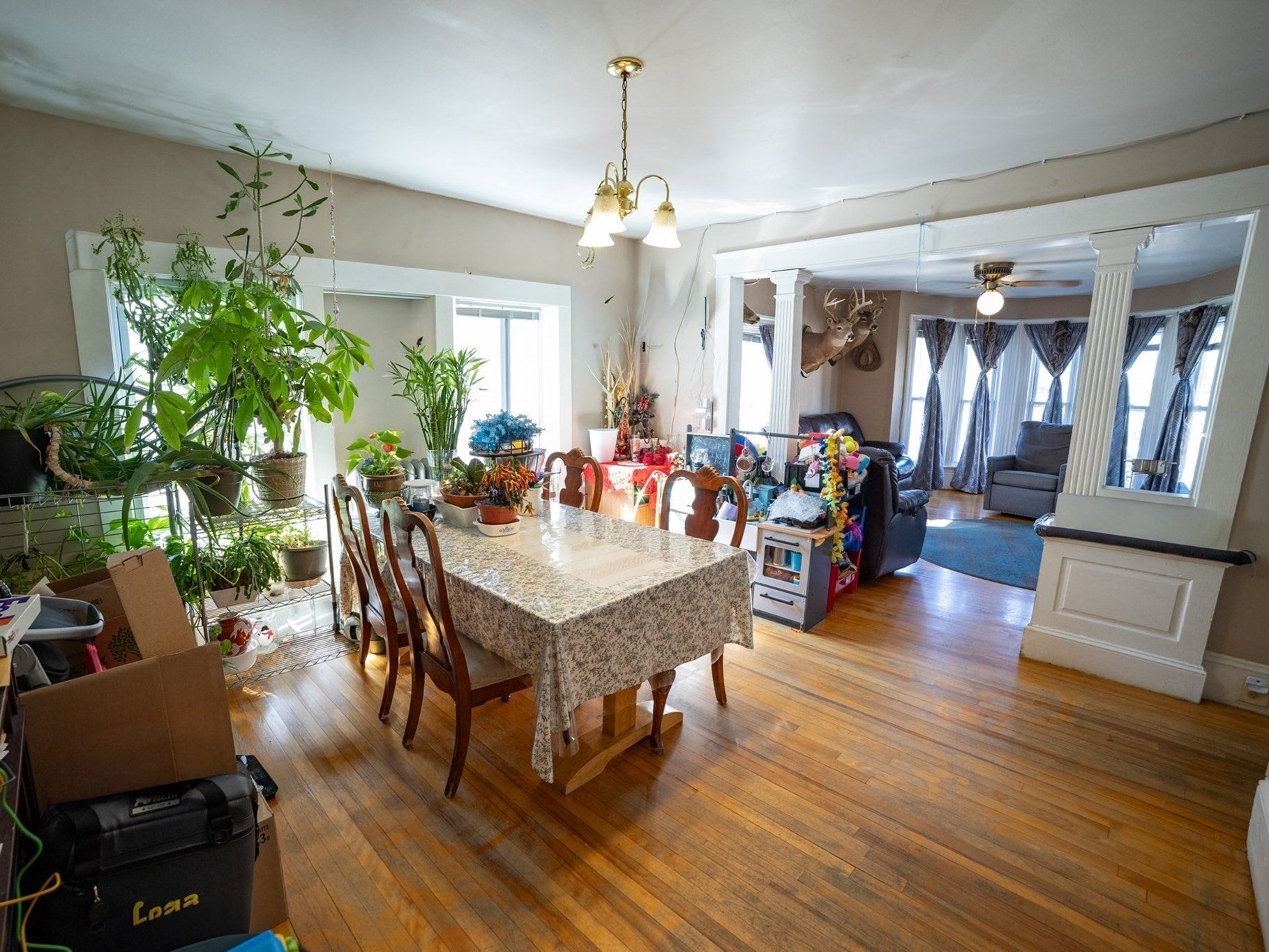 17 Myrtle St, Lowell, MA Photo #20