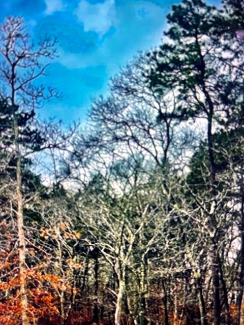 2 Old Farms Trail Edgartown MA 02539