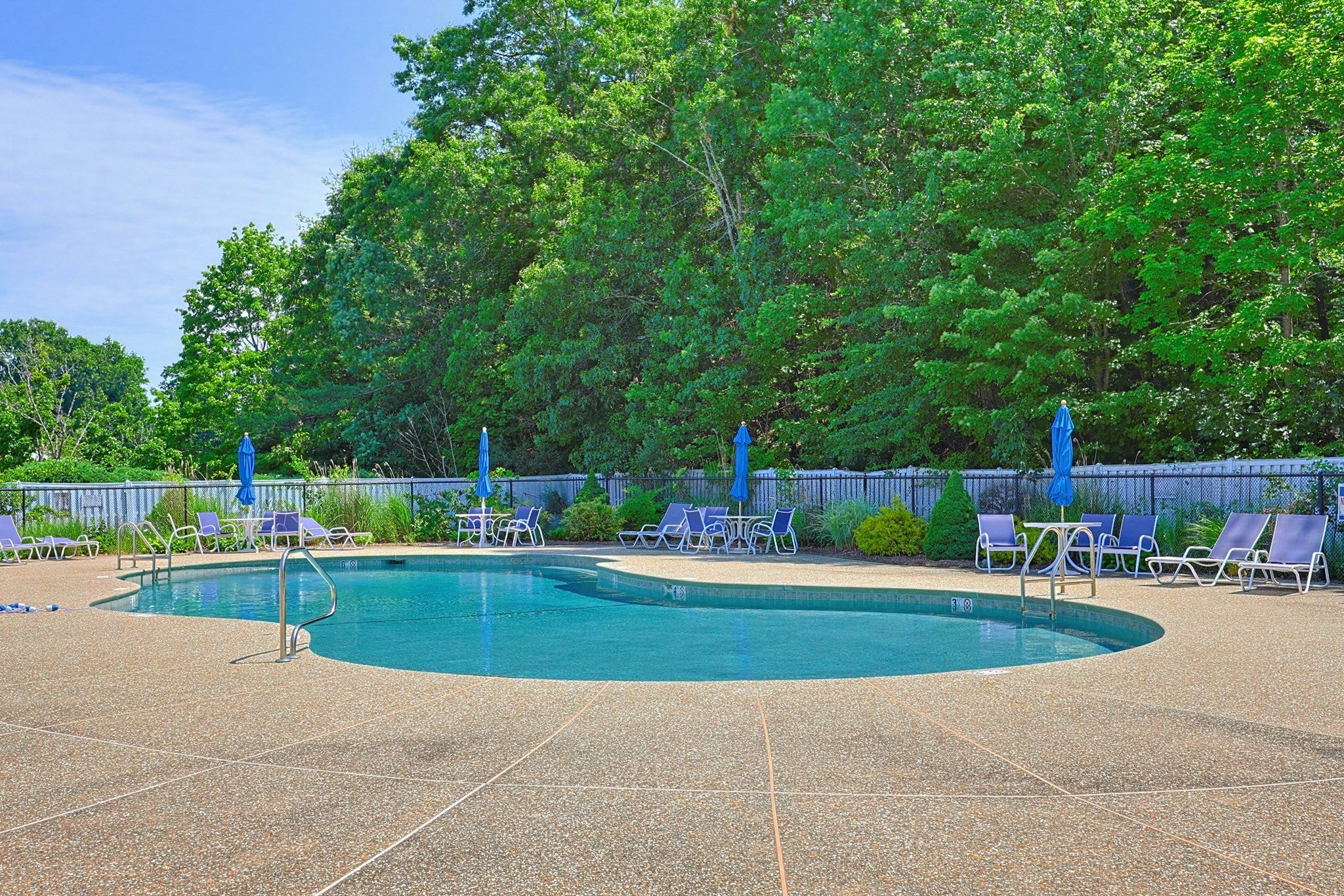 31 Bayberry Dr 4