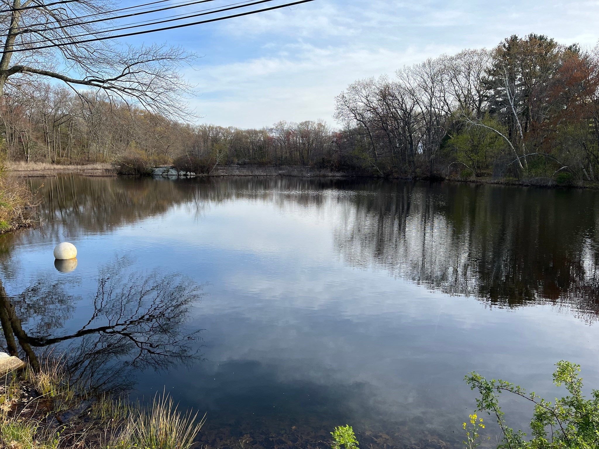 36 Slayton Rd