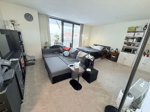 60 Longwood Ave 206 Brookline MA 02446