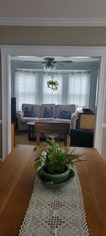 26 Owencroft Rd 1