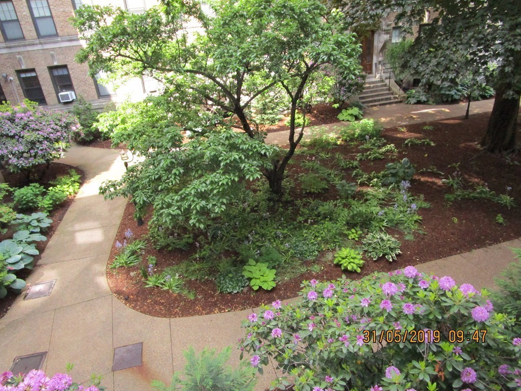116 Riverway 5