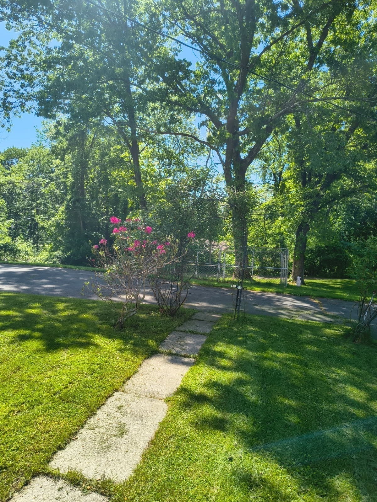 41 Linwood St