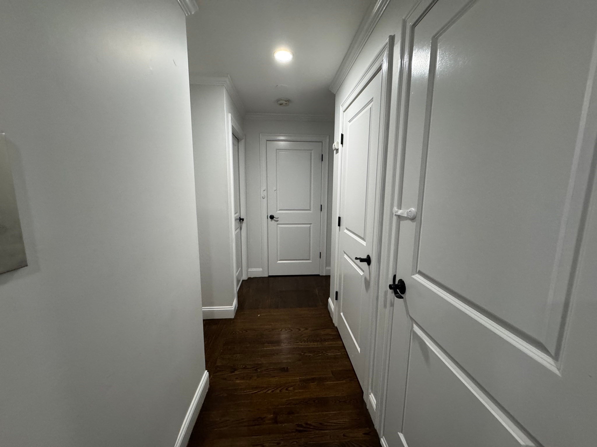 71 Oxford Ave #4, Cambridge, MA, 71 Oxford Ave #4, Cambridge, MA Photo #9