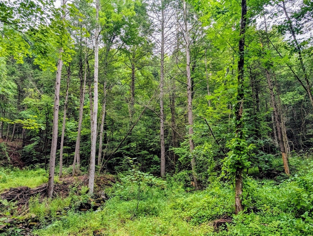 18 Pond Brook Road