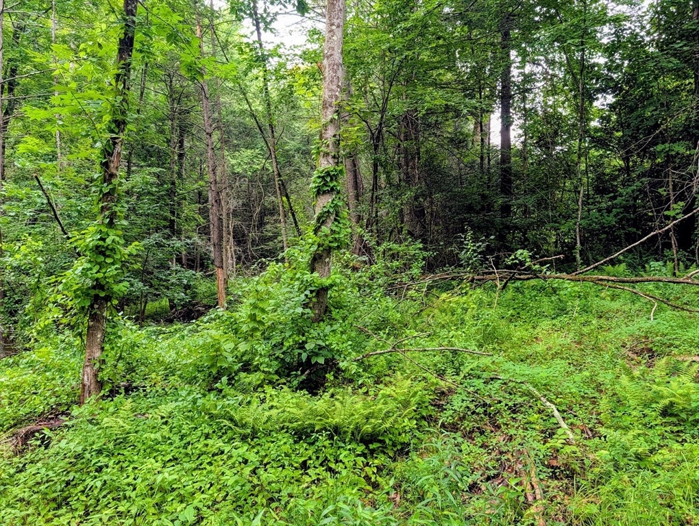 18 Pond Brook Road