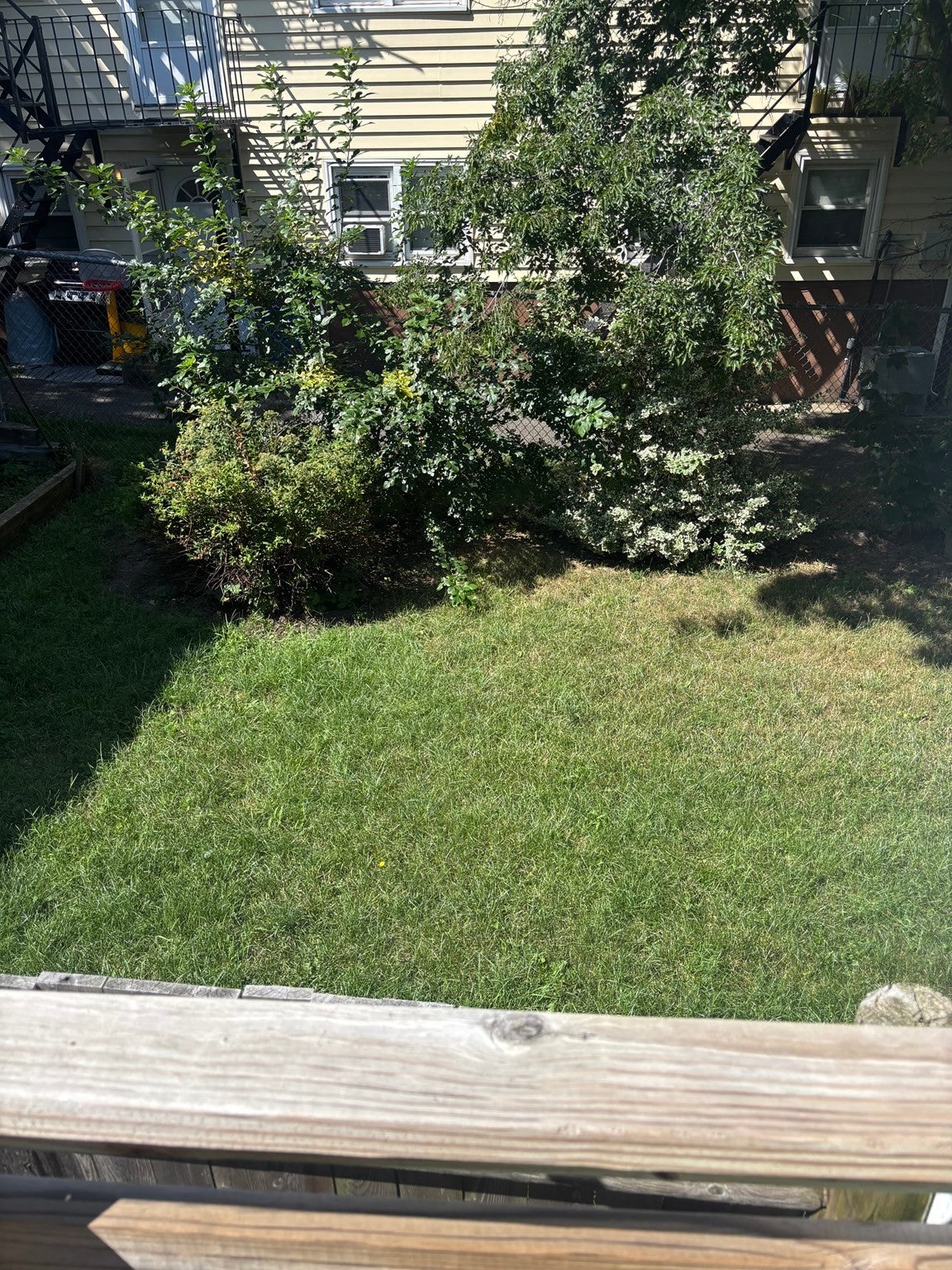 19 Trull St, Boston, MA, 19 Trull St, Boston, MA Photo #15
