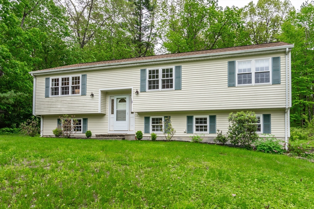 Listing image 1