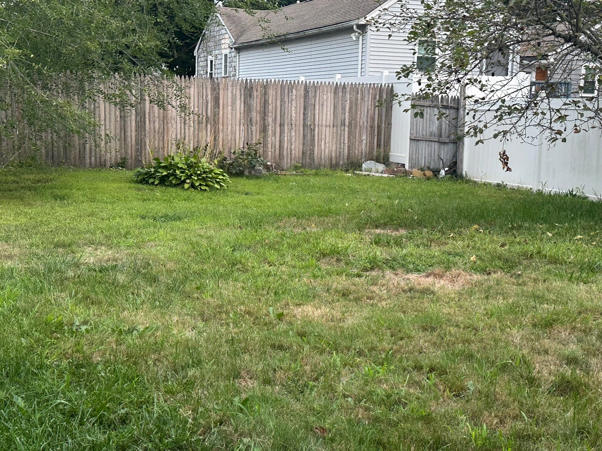 10 Milton Ter, Randolph, MA, 10 Milton Ter, Randolph, MA Photo #34