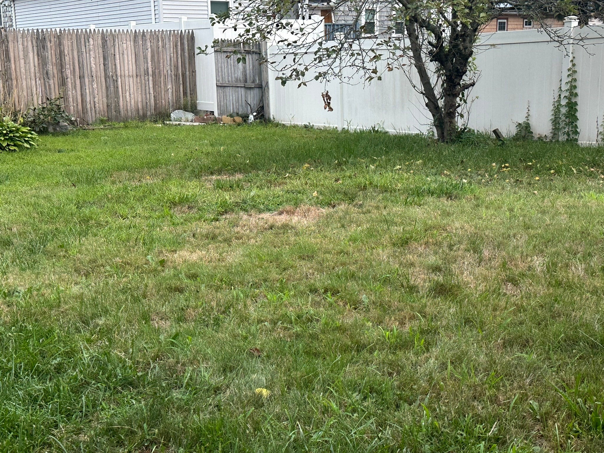 10 Milton Ter, Randolph, MA, 10 Milton Ter, Randolph, MA Photo #33