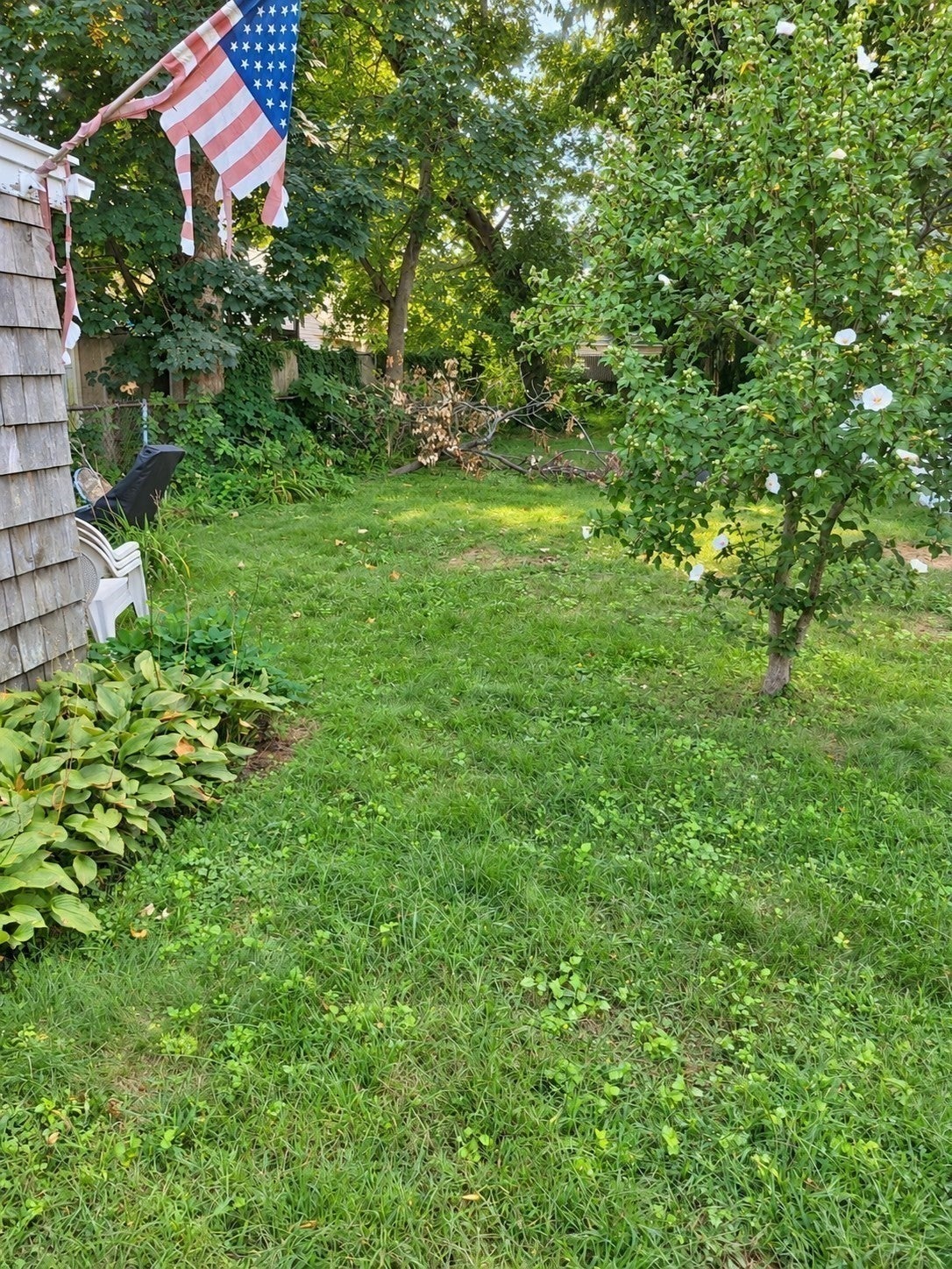 33 Walter St, Salem, MA, 33 Walter St, Salem, MA Photo #15